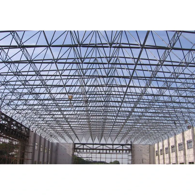 Magnum spatium Steel Frame Structure